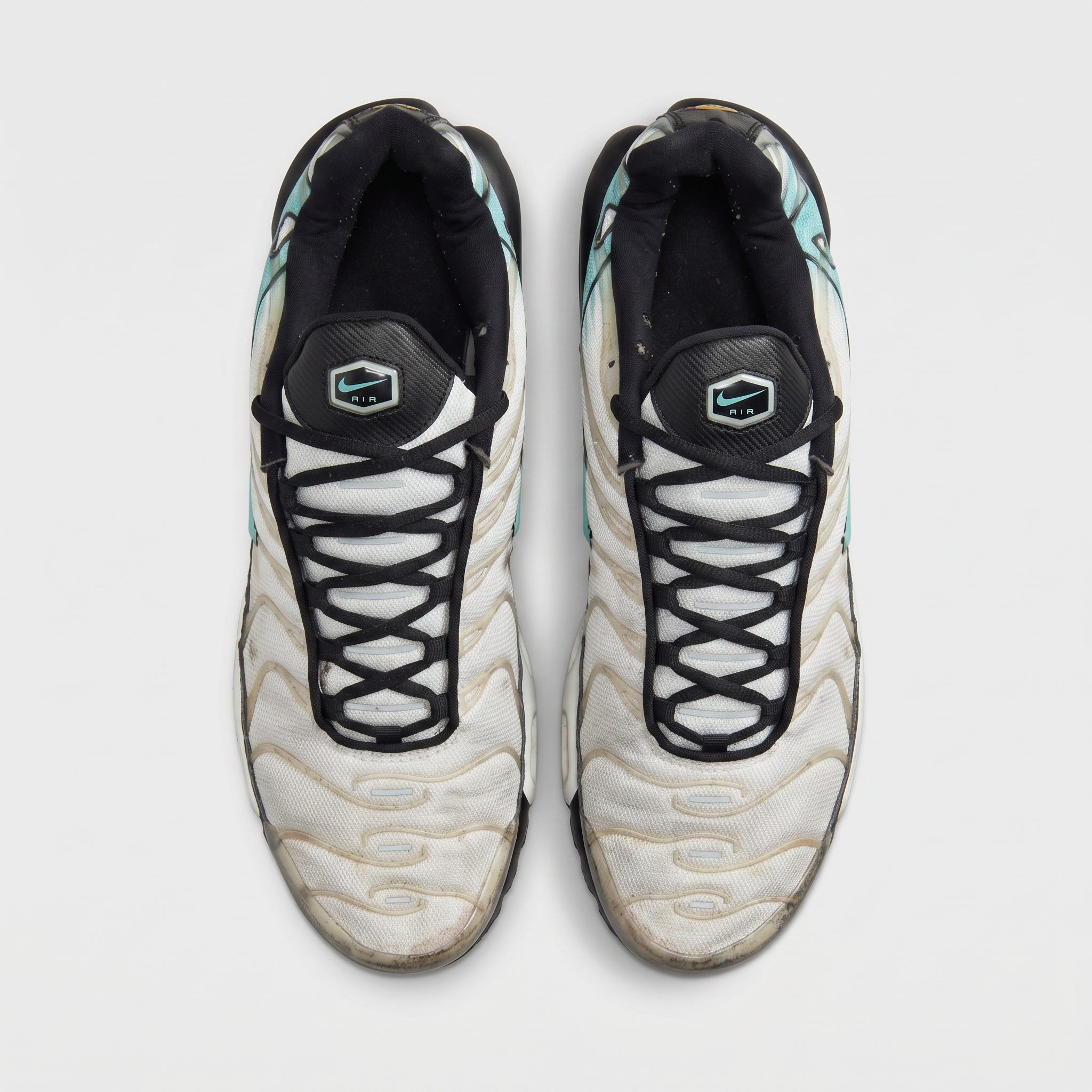 Nike Air Max Plus 'Mercurial Vapor'