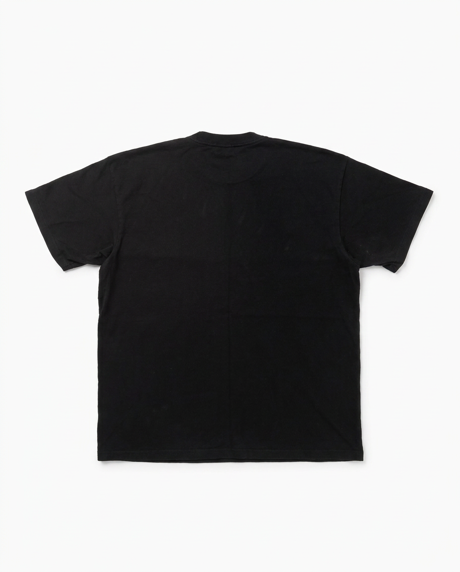 Carhartt WIP t-shirt, back flat-lay